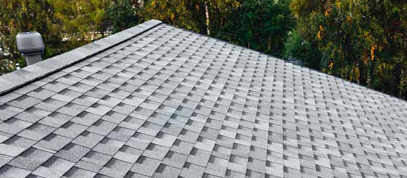 Roofing Services in Northern Michigan